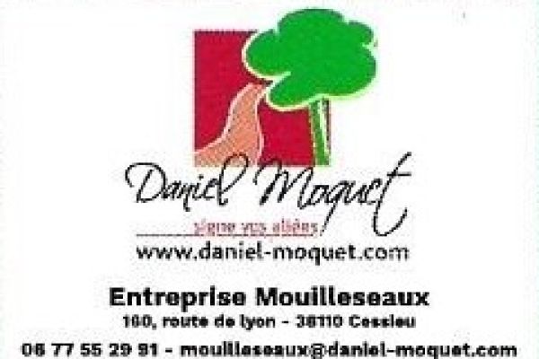 d-moquet-28C9A3DA1-5608-09FB-25C2-B28630866363.jpg